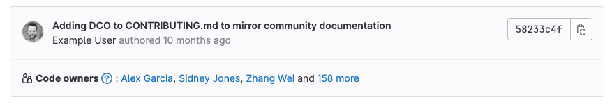 Code Owners displayed in UI